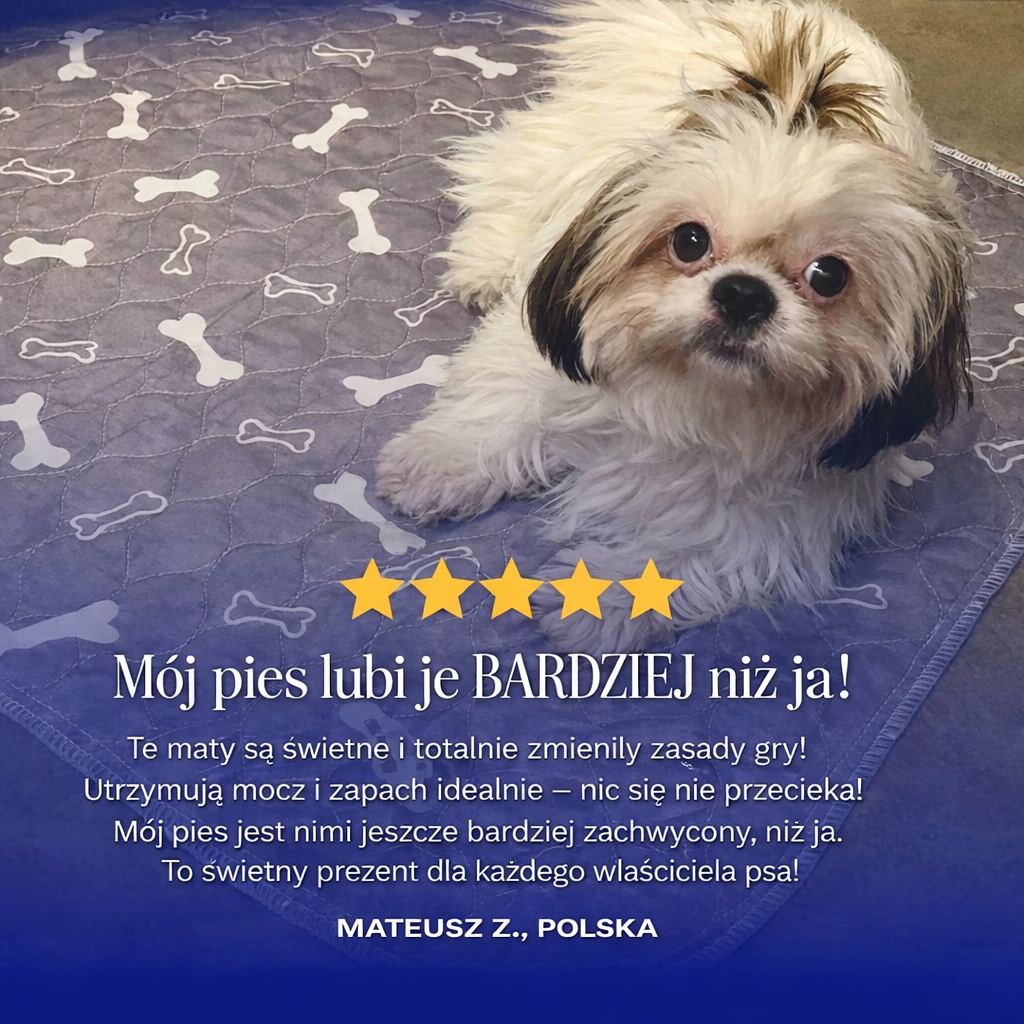 CzystaŁapka - Miejskie Innowacyjne Rozwiązanie.